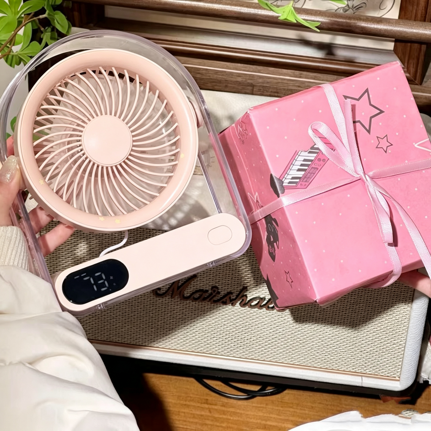Desktop fan